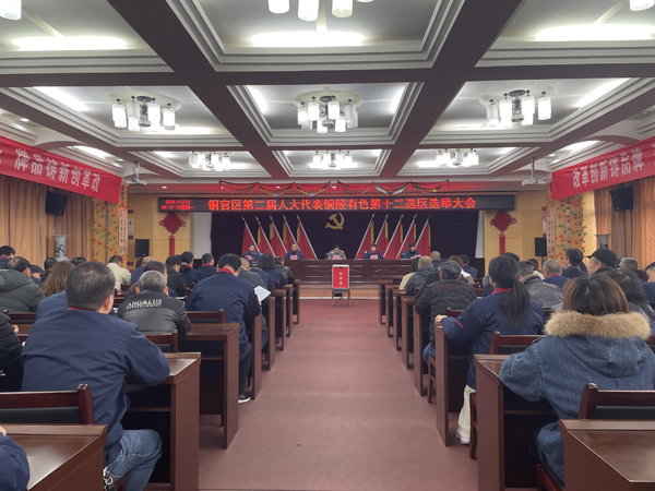 公司完成銅官區(qū)第二屆人大代表選舉工作  公司完成銅官區(qū)第二屆人大代表選舉工作